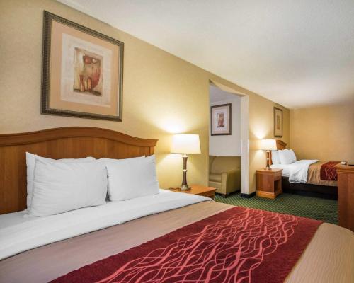 Quality Inn - image 27