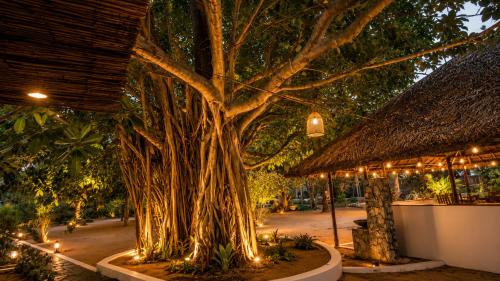 Notti MARE Kite Beach Resort & Restaurent in Kalpitiya
