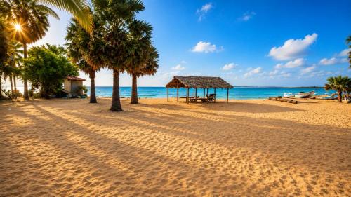 Notti MARE Kite Beach Resort & Restaurent in Kalpitiya