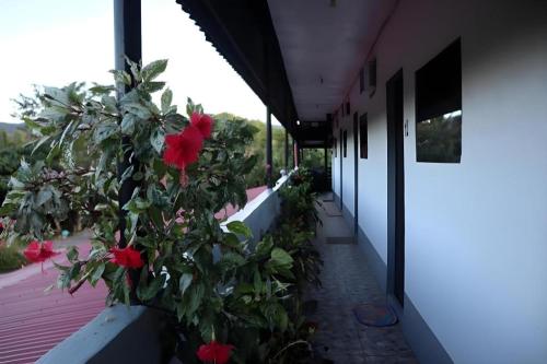 Ysraela Lodging House - Sabang in Balera