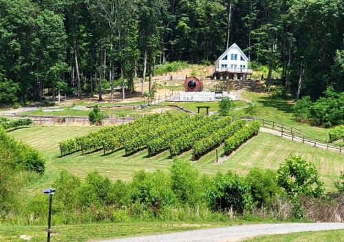 Incredibly Unique Barrel Pod on a Beautiful Private Vineyard with Breathtaking Views for an Unforget in Jonesville (NC)