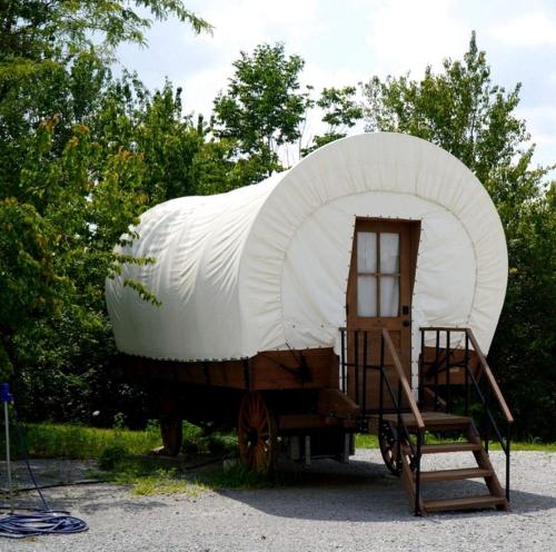 Cute Caravan Nestled Amidst Trees in Danville, Kentucky in 亞特奇森 (KY)