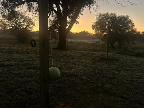 Spectacular Treehouse with Speeder Bike & Creek Views near Forestburg, Texas in Muenster (TX)