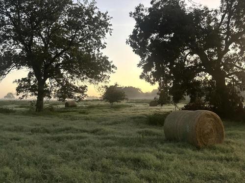 Spectacular Treehouse with Speeder Bike & Creek Views near Forestburg, Texas in Muenster (TX)