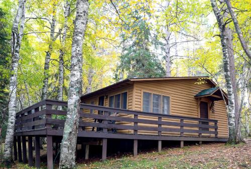 Authentic Rustic Cabin with Large Deck & Fireplace Near Birch Lake, Babbitt, MN in Babbitt