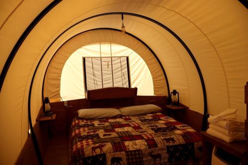 Rustic Conestoga Wagon Stay with Lodge Amenities near Boulder Creek, Montana in Philipsburg (MT)