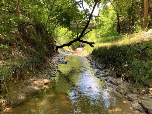 Magical Treehouse Retreat with Creek Views near Forestburg Forest in Forestburg, Texas in Muenster (TX)