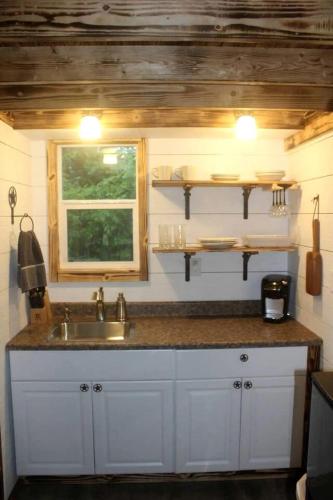 Enchanting Pecan Treehouse with Creek Views near Forestburg, Texas in Muenster (TX)
