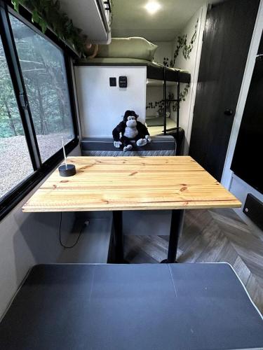 Unique Jungle-Style Glamping RV with 8-Foot Suspended Tree Tent near Creek Trails in Forestburg, Tex in Muenster (TX)