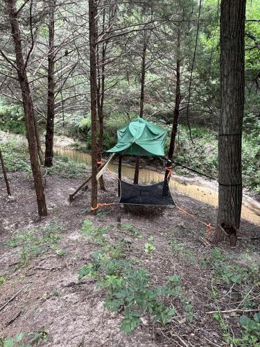 Unique Jungle-Style Glamping RV with 8-Foot Suspended Tree Tent near Creek Trails in Forestburg, Tex in Muenster (TX)