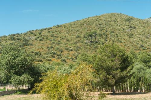 Villa Bona Vista - image 7