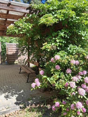 Bungalow im Künstlergarten (Bungalow im Kunstlergarten) in Krauschwitz
