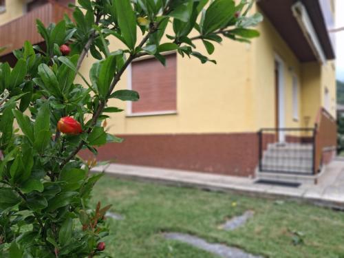 Ai quattro nidi - Casa vacanze in Sospirolo