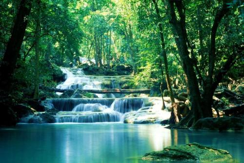OYO 75339 Full Frame Resort in Dan Makham Tia