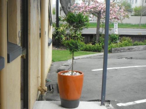 Avalon Motels - image 4