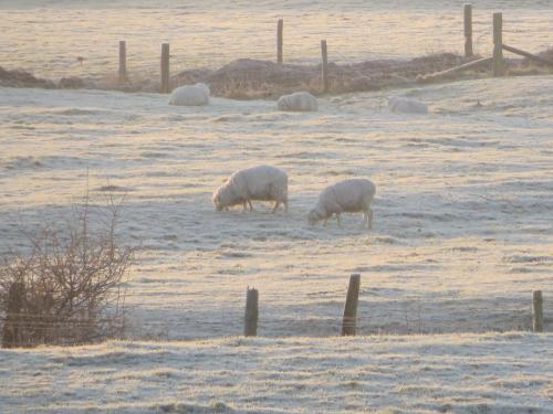 Навколишнє середовище, Arden House in Ерундел