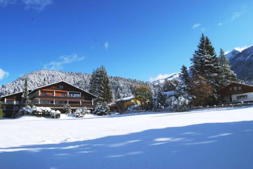 Berghaus Tirol - Luxus Apartement - Apartment - Seefeld