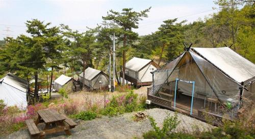 청양고운힐링글램핑