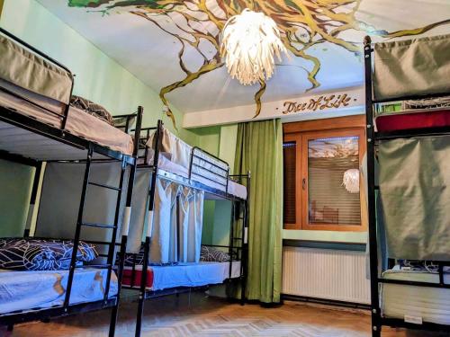 The Re-Born Hostel in Timisoara