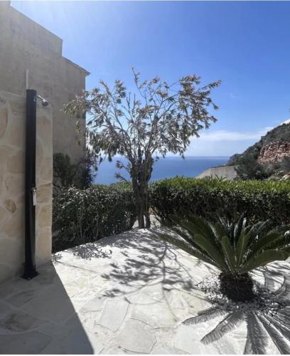Casa Esperanza