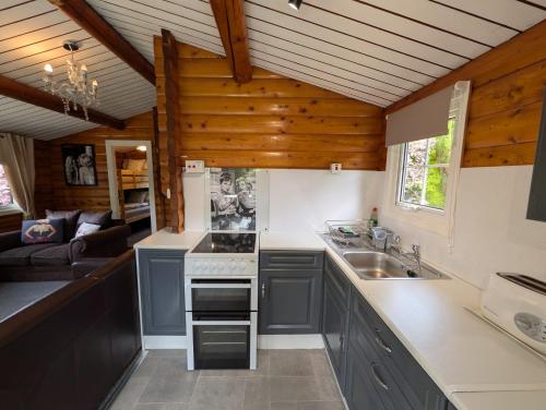 Cabin Aelwyd Snowdonia in Trawsfynydd