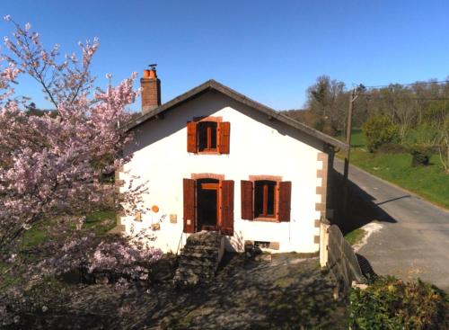 L'Olivette
