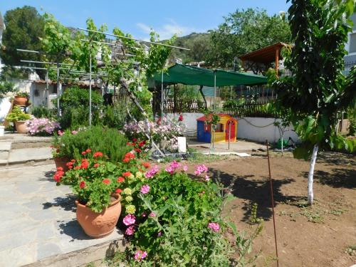 Villa Dima - Location, gîte - PalaiónTsiflíkion