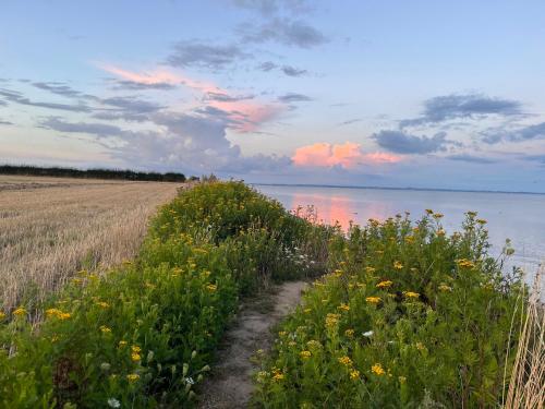 المرافق, Holiday Home With Views Of The Little Belt in هادرسليف