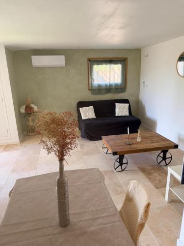 Studio avec terrasse et parking privé - Location saisonnière - Château-Arnoux-Saint-Auban