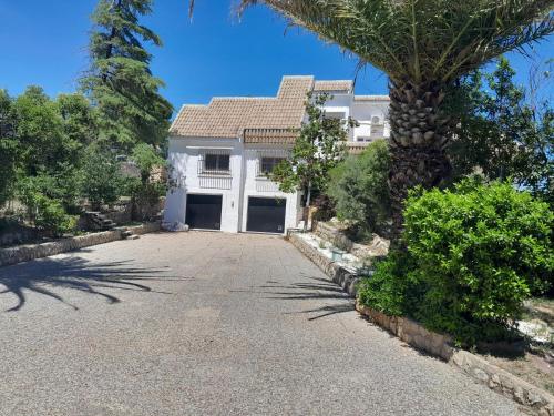 DJM Palms - Shared Casa Rural - Casa Rural Compartida - No es una casa privada in Zarra