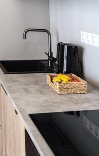 V39 Apartment in Zirmunai eldership