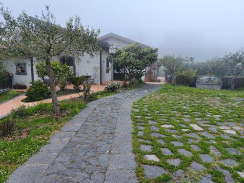 Il Giardino di Galatea - Aisa