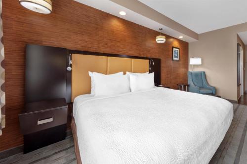 Best Western Plus Miami Executive Airport Hotel and Suites - image 21