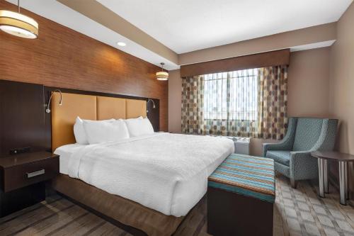Best Western Plus Miami Executive Airport Hotel and Suites - image 33