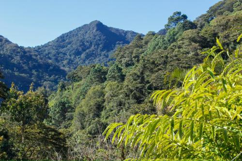 Kilátás, Nan La Tigra in Valle de Angeles
