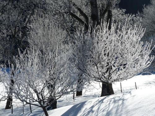 Hotel Au Feu De Bois - image 12