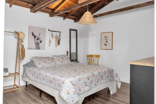 Private Studio Cabin steps from Calle 8, Nassau