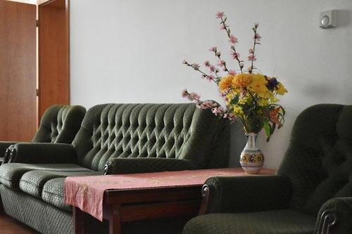 Villa Paris in פיישטיאני