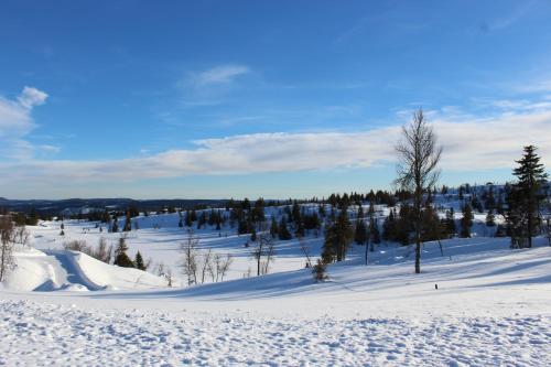 Gamlestølen Fjellstue - image 10