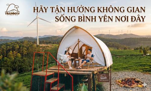 Surrounding environment, Trạm Mây Glamping in Tram Hanh