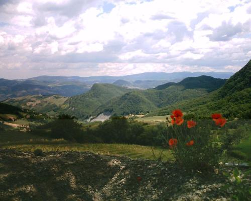 Dārzs, La Piana Dei Castagni in Kastel D'Aiano
