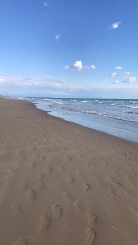 Apartments Vebo
