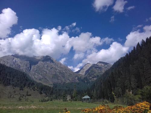 Valley Guest House Pahalgam in Sallar