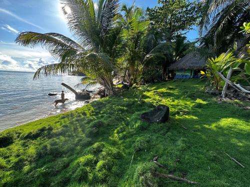 Вид, ENSUEÑOS NATURAL RESERVE Little Corn Island Nicaragua (ENSUENOS NATURAL RESERVE Little Corn Island Nicaragua) in Литтл-Корн-Айленд