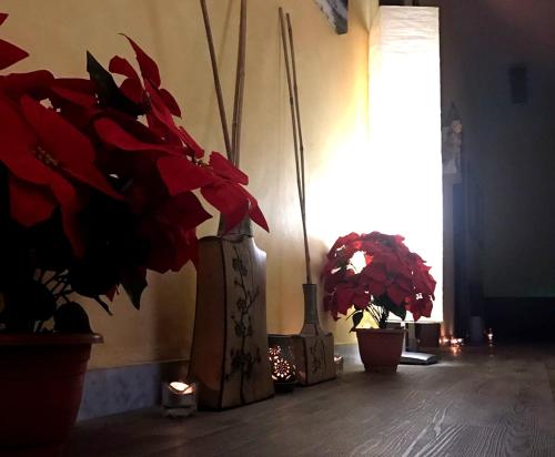 Gyógyfürdő, B&B del Benessere Beauty & Welness in Maglie