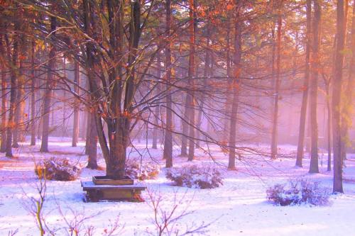 Agriturismo La Garzonera - Photo 4