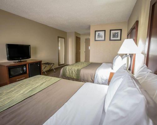 Comfort Inn Morris I-80 - image 40
