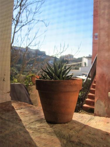 La Casina de Piedra ENCANTO - Parte Antigua de Cáceres