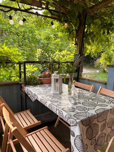 The Bookhouse Home Bb in Poggio San Marcello