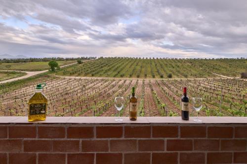 . FINCA VALDELAJARA a 20 minutos de Puy du Fou